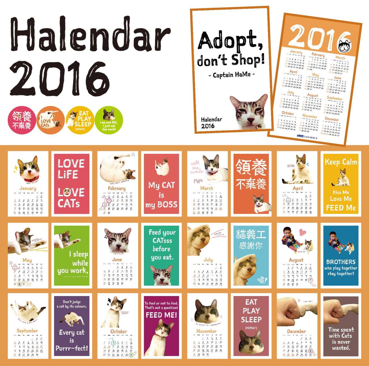 12240286_620826191391222_8485131618550526472_o