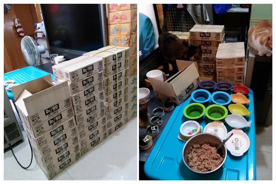 13178904_690978057709368_4793217408880491289_n