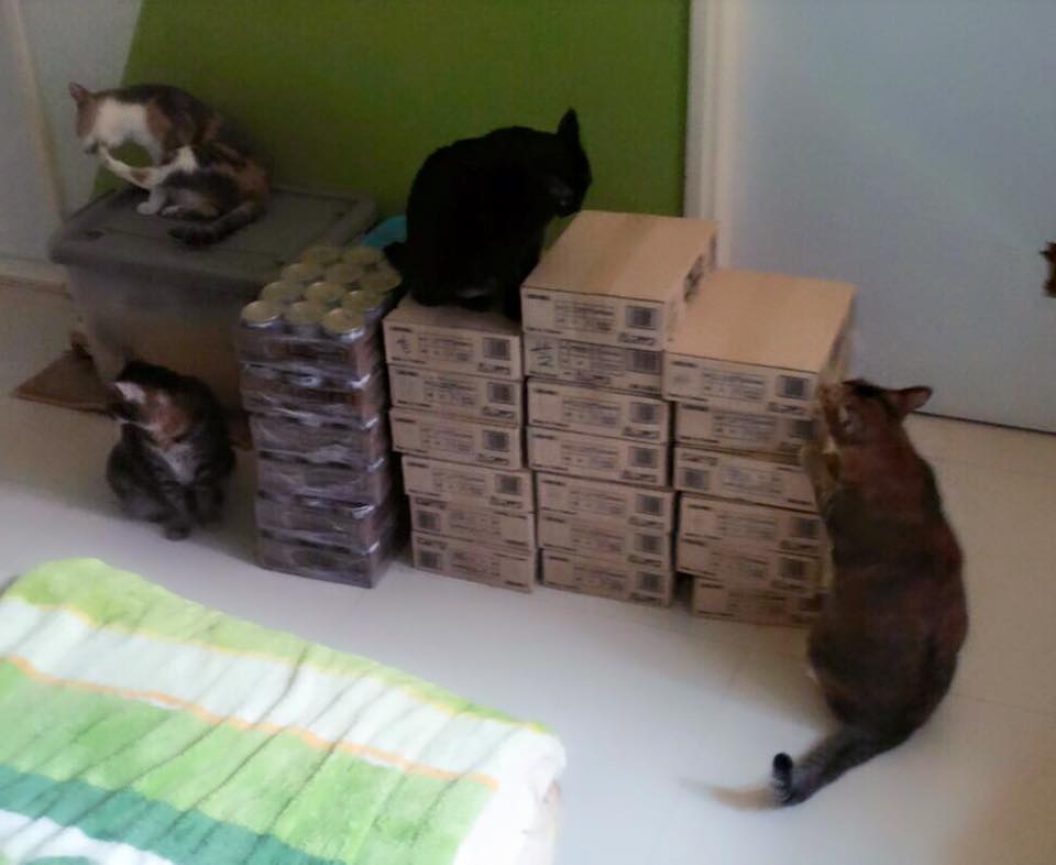 13680776_720706678069839_8913977586766364312_n (1)