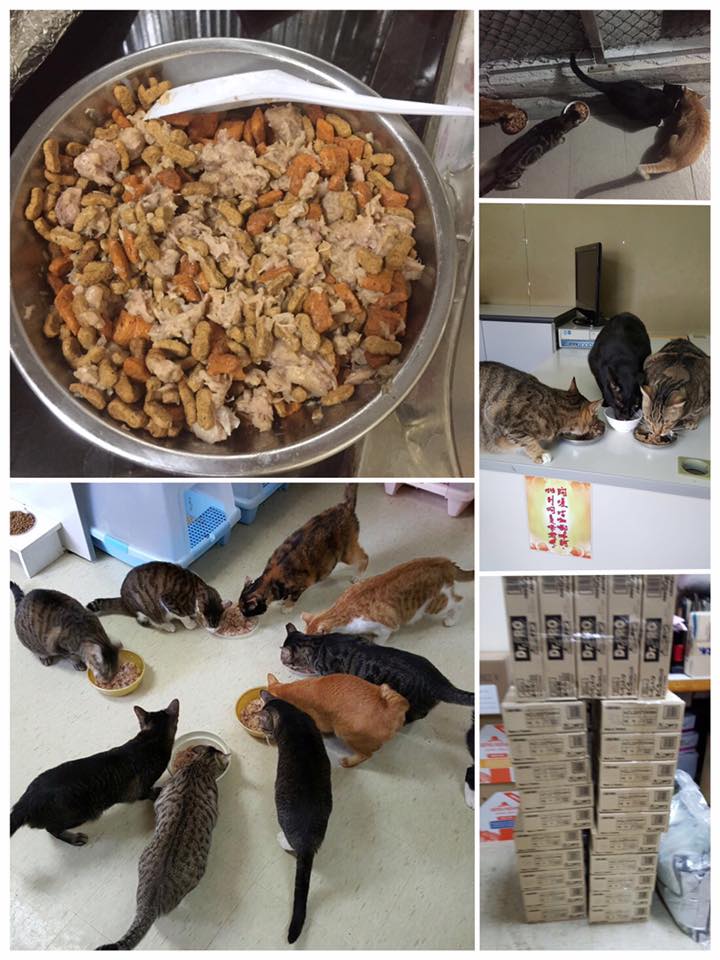 14232518_748328521974321_1558891496178267573_n