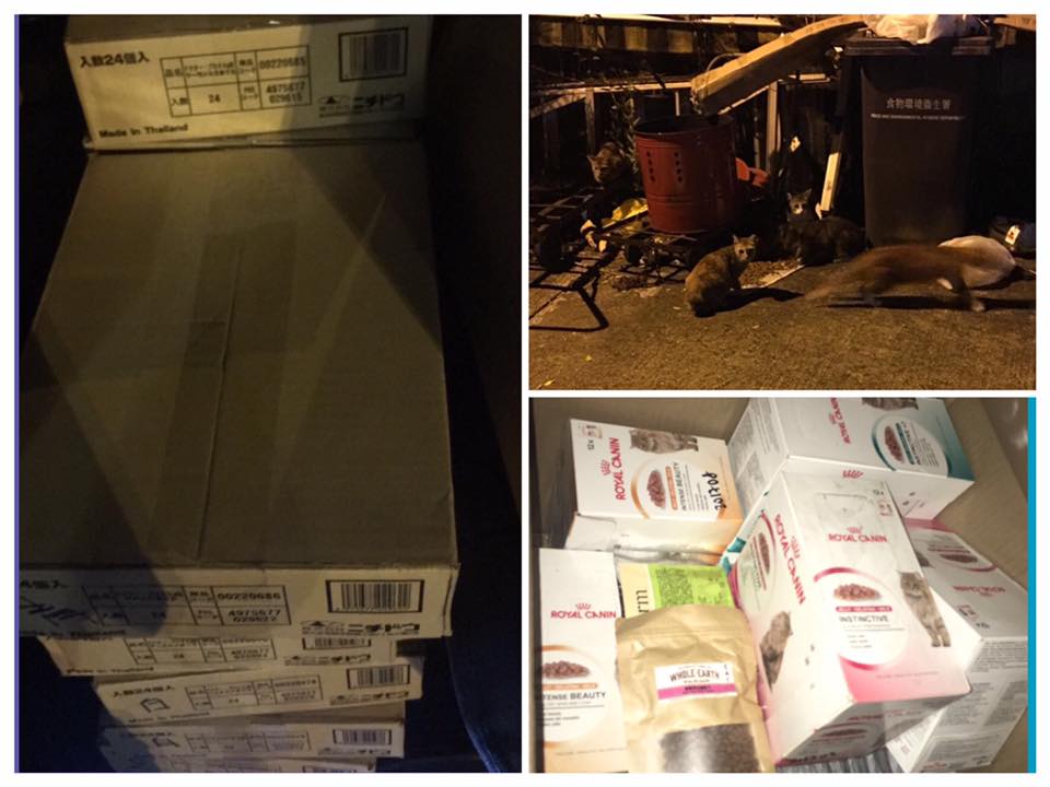 14702292_767202886753551_5336457314873630284_n